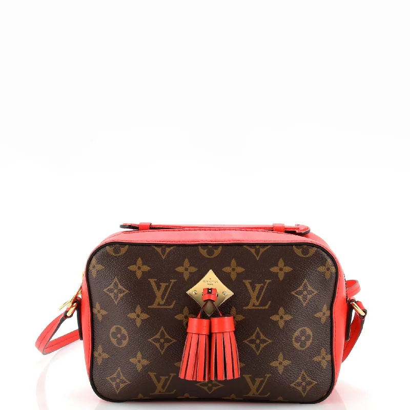 Shoulder bags with seasonal prints for holidays -Saintonge Handbag Monogram Canvas with Leather